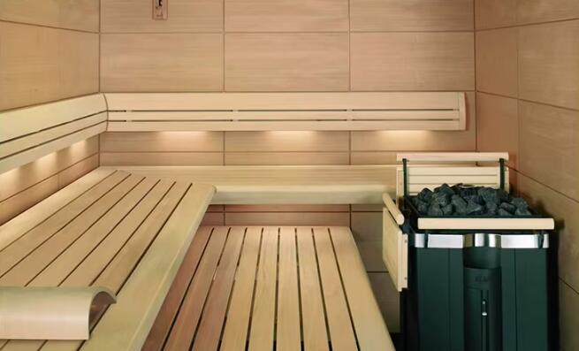 sauna heater