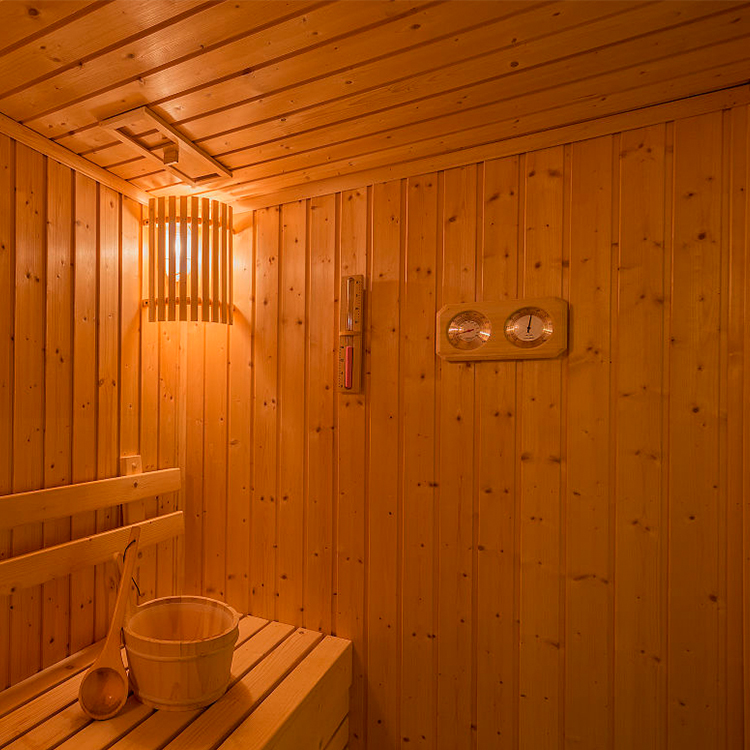 thermo hygrometer sauna