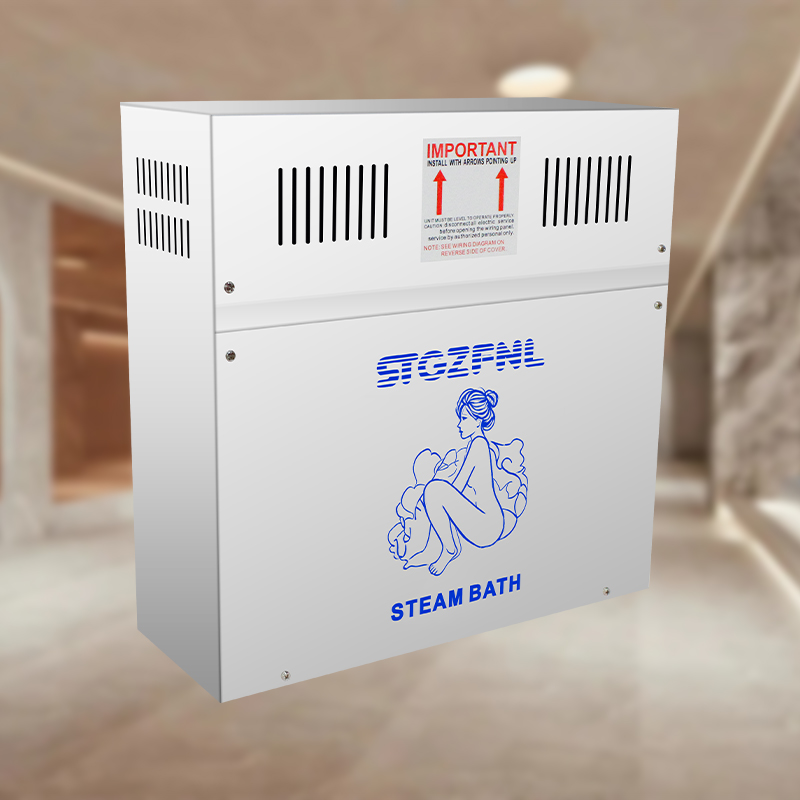 Professional Steam Bath Machine Steam Bath Generator for Spa And Hotel