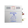 Professional Steam Bath Machine Steam Bath Generator for Spa And Hotel